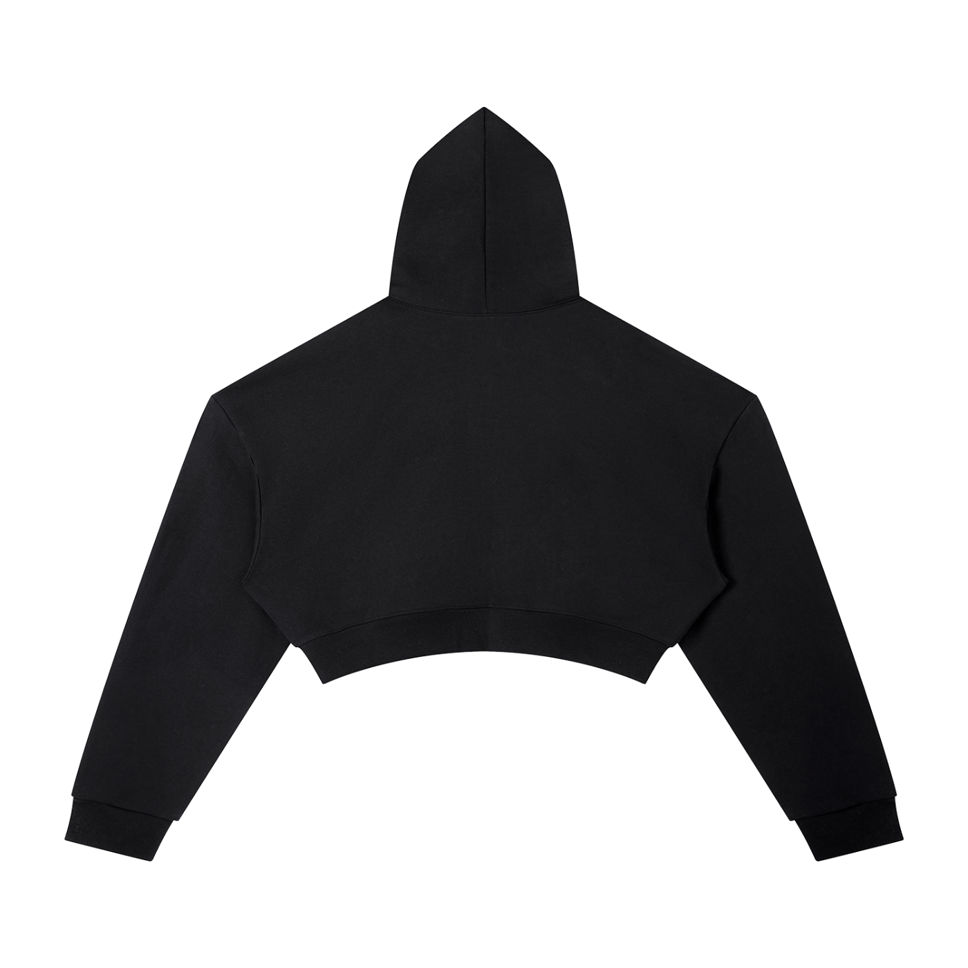 Coochiologist Cropped Hoodie